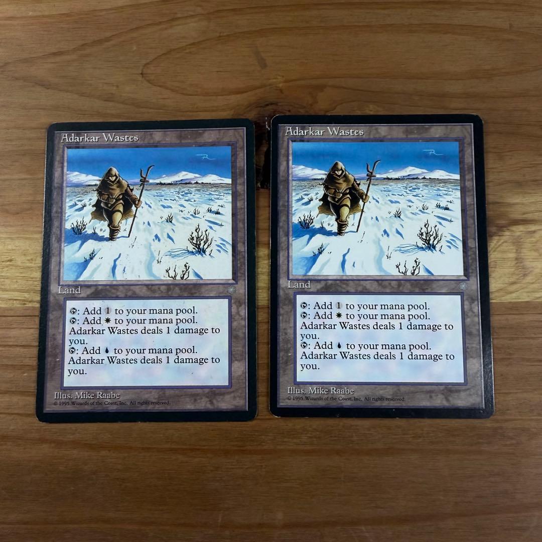 アダーカー荒原 Adarkar Wastes 英語 MTG