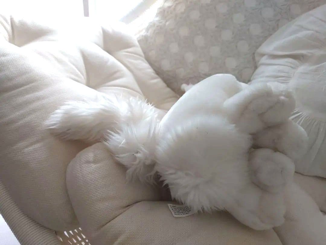 WDW ダッチェス ぬいぐるみ ウォルトディズニーワールド おしゃれキャット　座