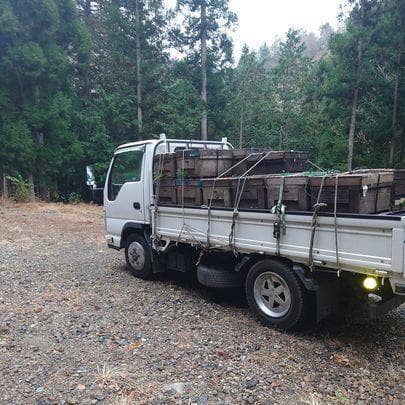 下川さん専用　蜂蜜　でかいの1本　２．５キロ