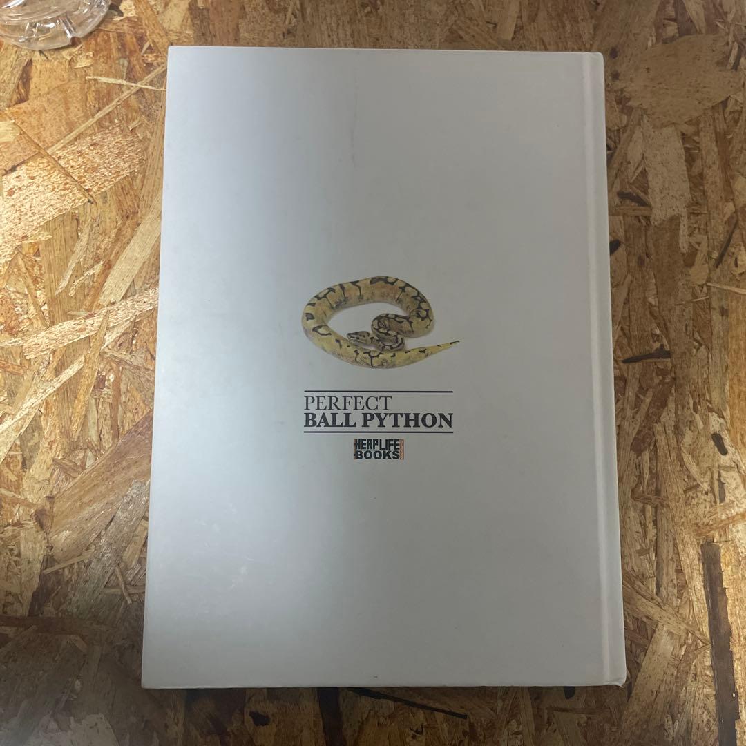 パーフェクトボールパイソン【毒ヘビ全書とのセット売りも可】