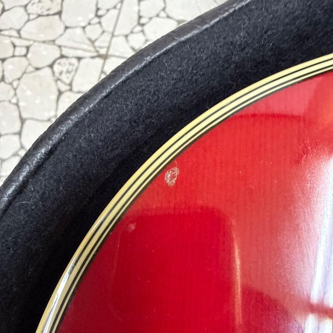 Stafford アコースティックギター レッド　SAD-600