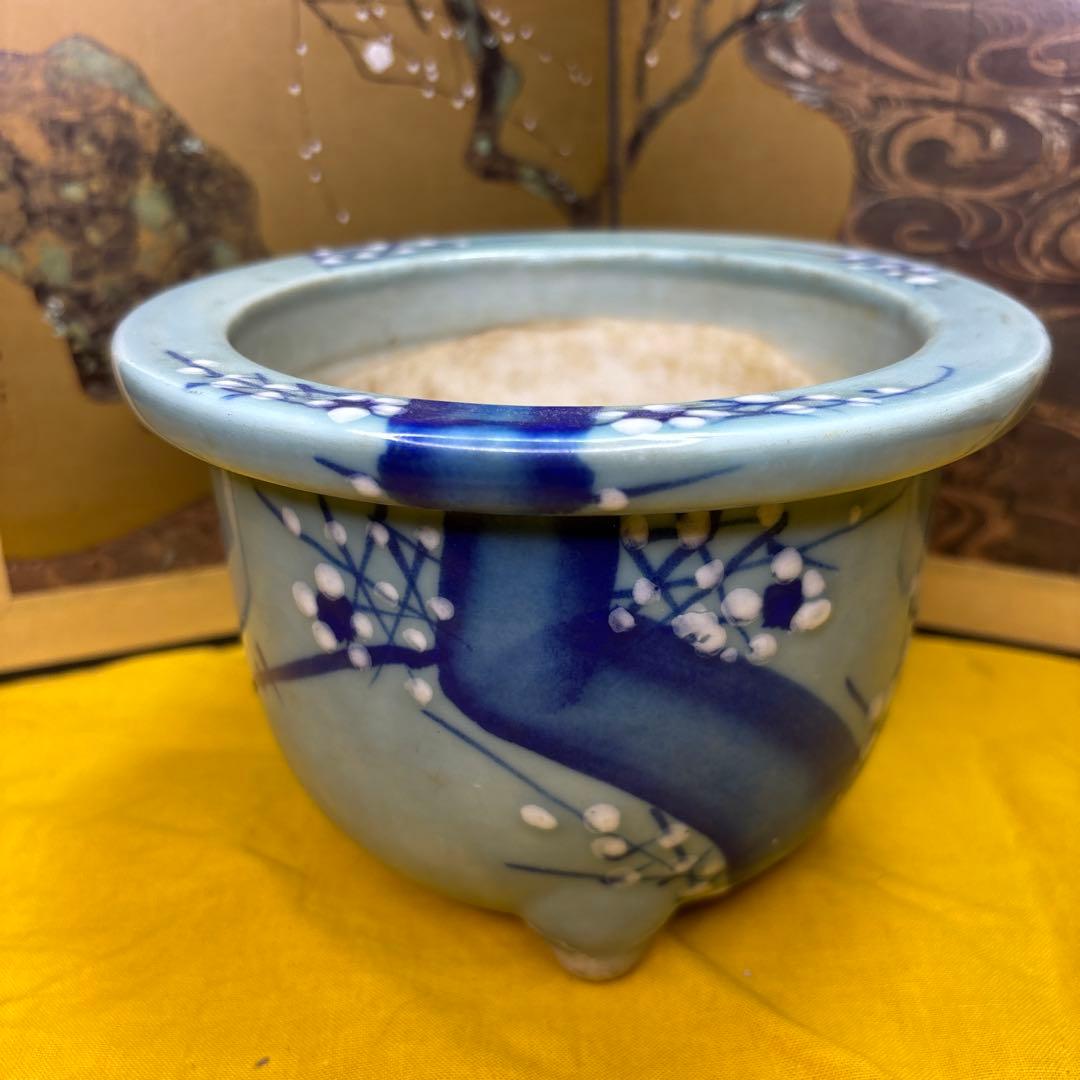 尾張焼　花鉢 梅　古美術