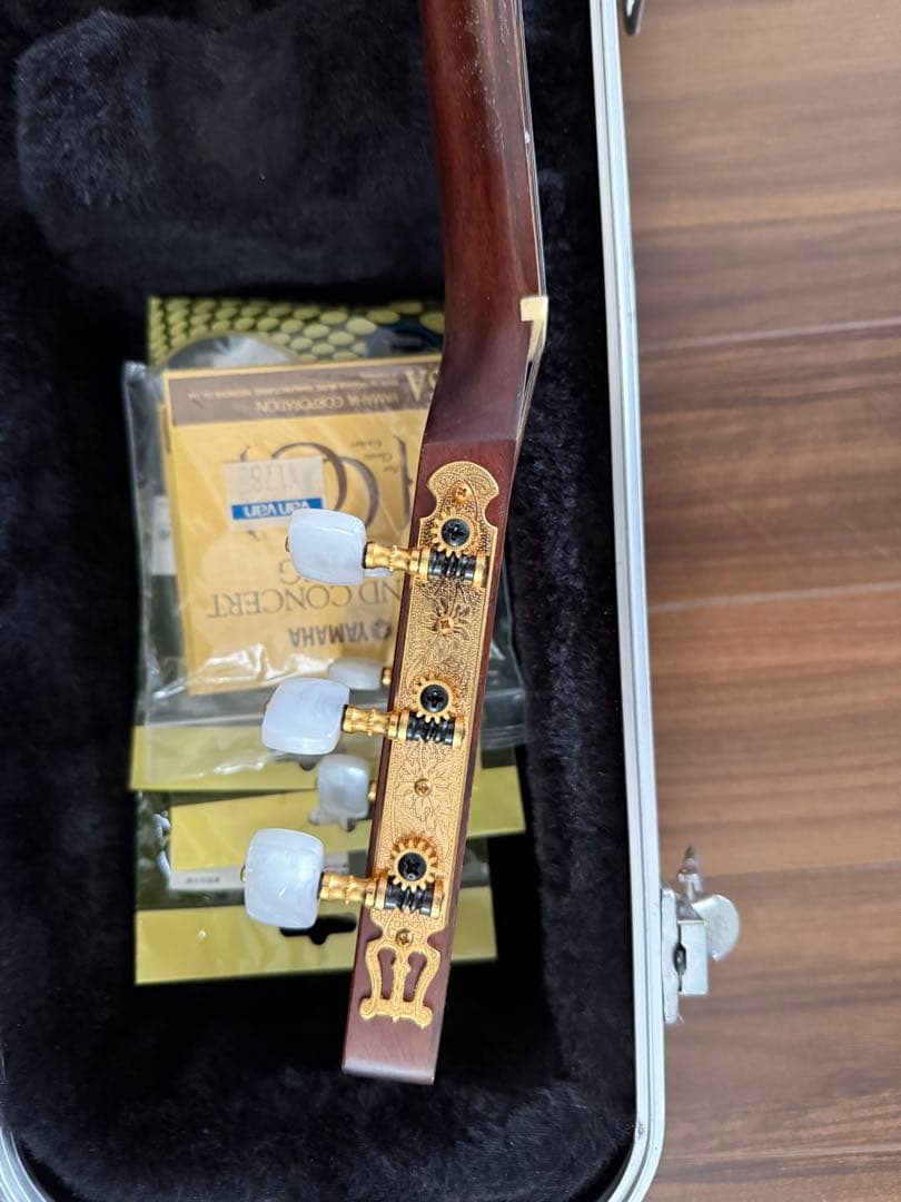 Takamine エレクトリカルアコースティックギター　PT407