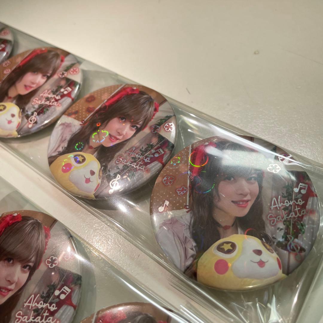 F72,さかわん 2023 さか子 缶バッジ  あほの坂田 通販 実写