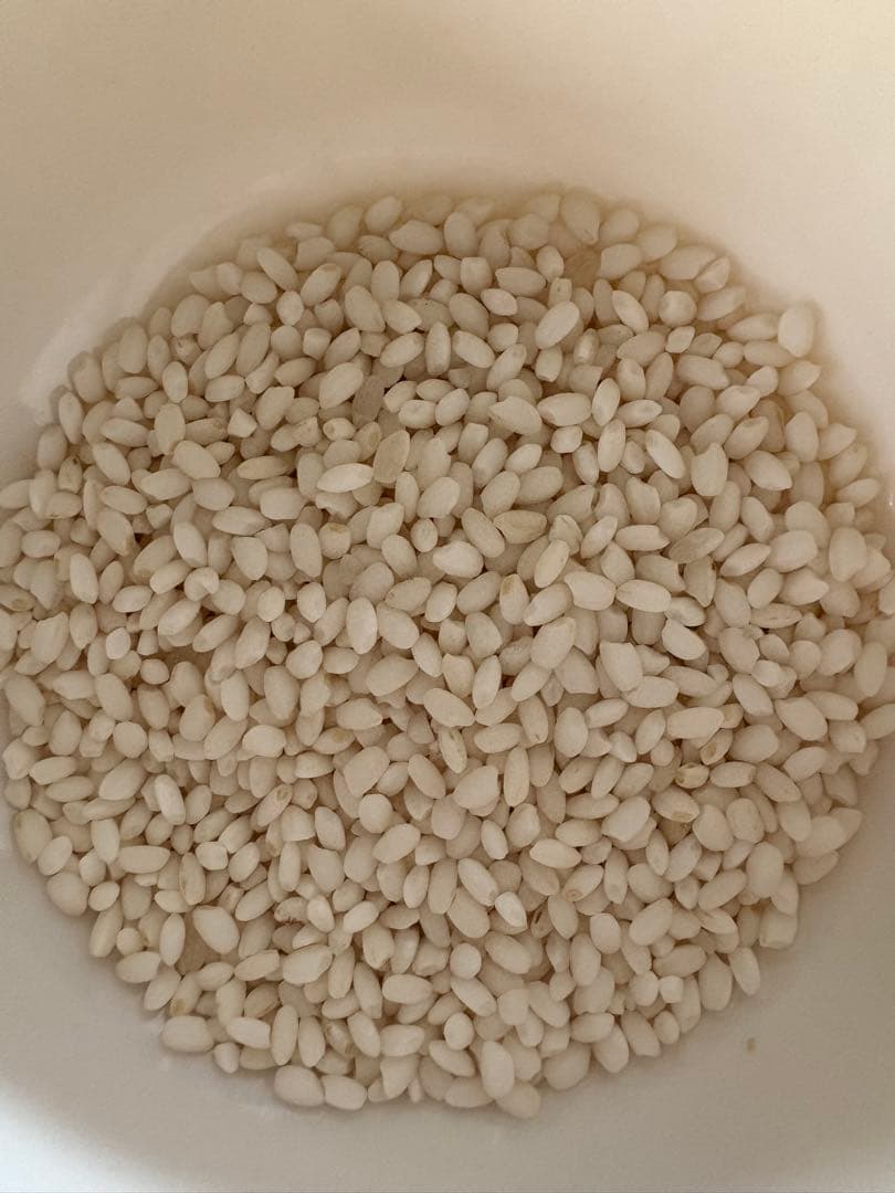 【最終出品】令和6年度　新潟県産 こがねもち 20kg（10キロ×2）