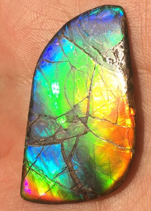 【セール】IMPERIAL アンモライト 両面レインボー レアルース