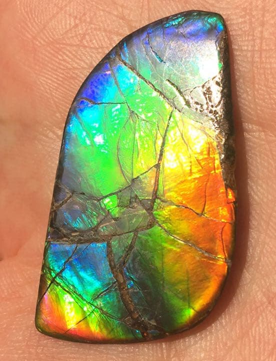 【セール】IMPERIAL アンモライト 両面レインボー レアルース