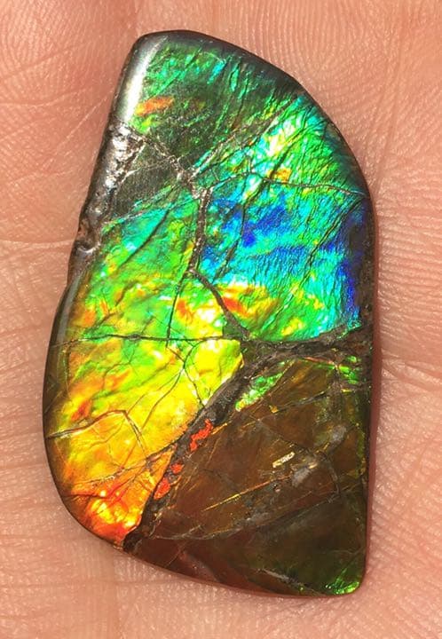 【セール】IMPERIAL アンモライト 両面レインボー レアルース