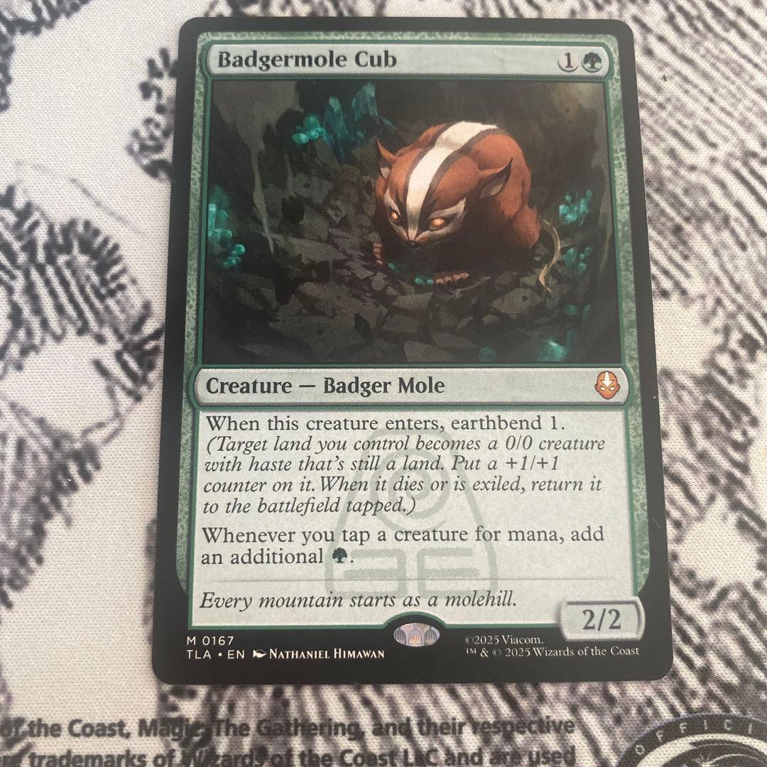 Mtg アナグマモグラの仔/Badgermole Cub 英語版