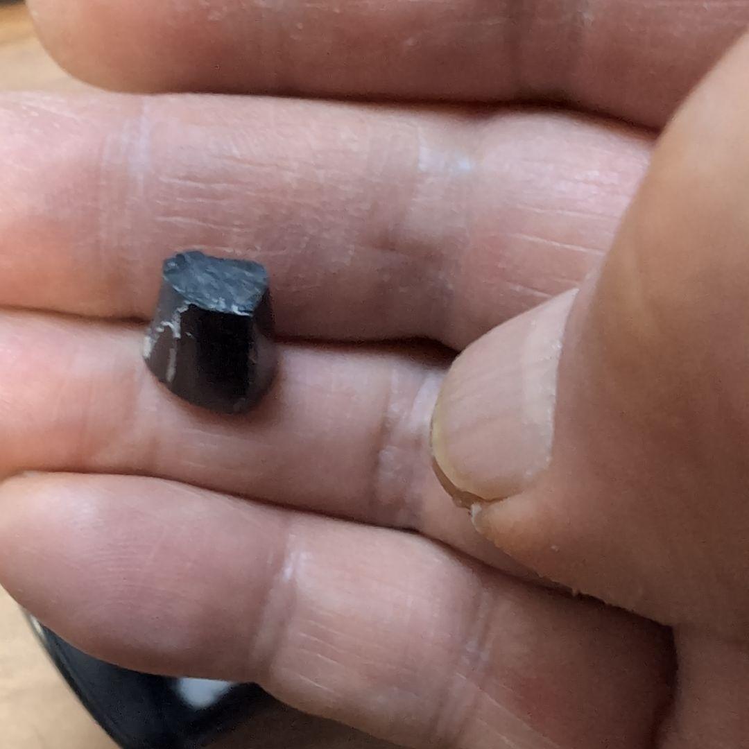 本物　ディノサウルス(ダスプレトサウルス)　歯化石　4個