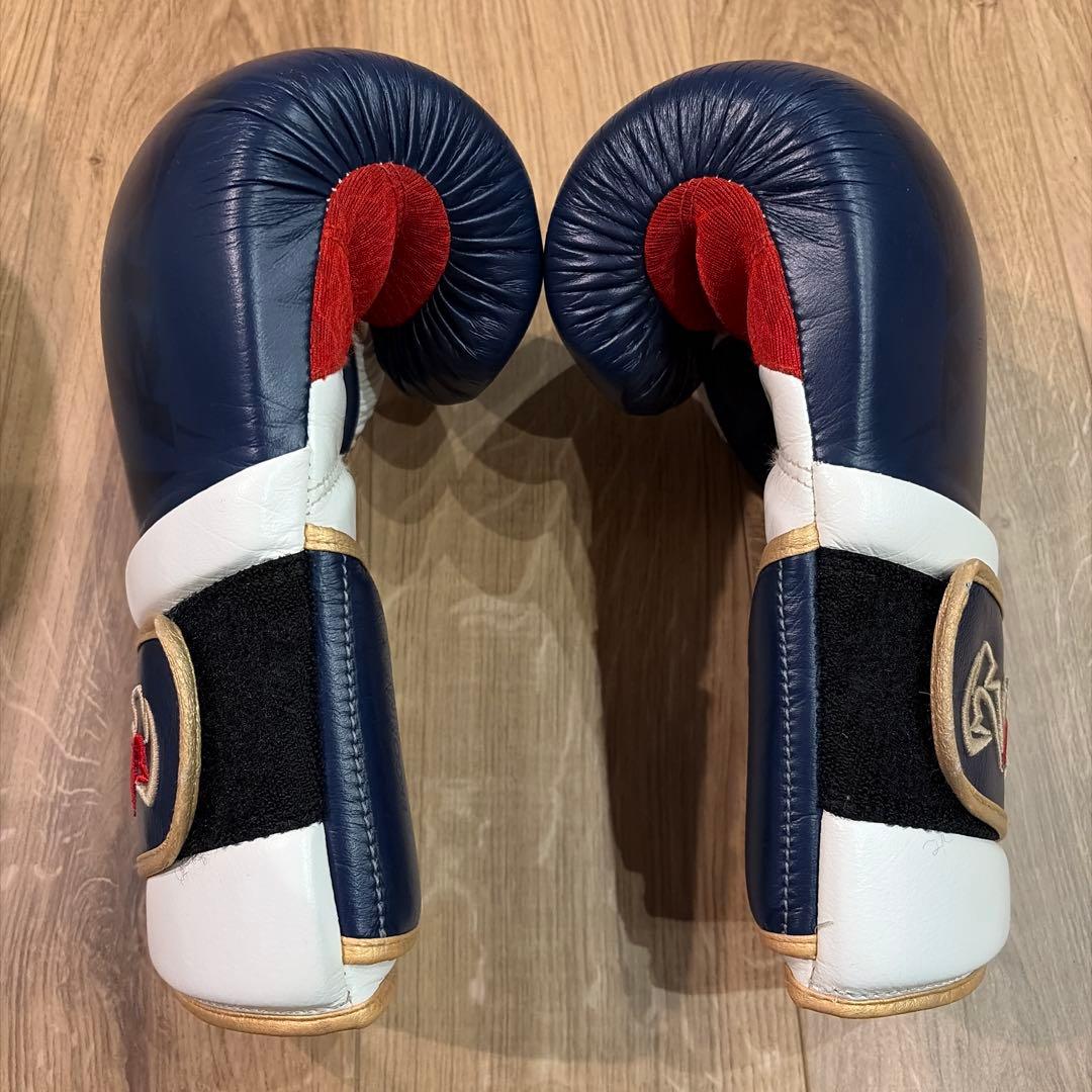 Rival ライバル RS80V インパルス・スパーリンググローブ 12オンス