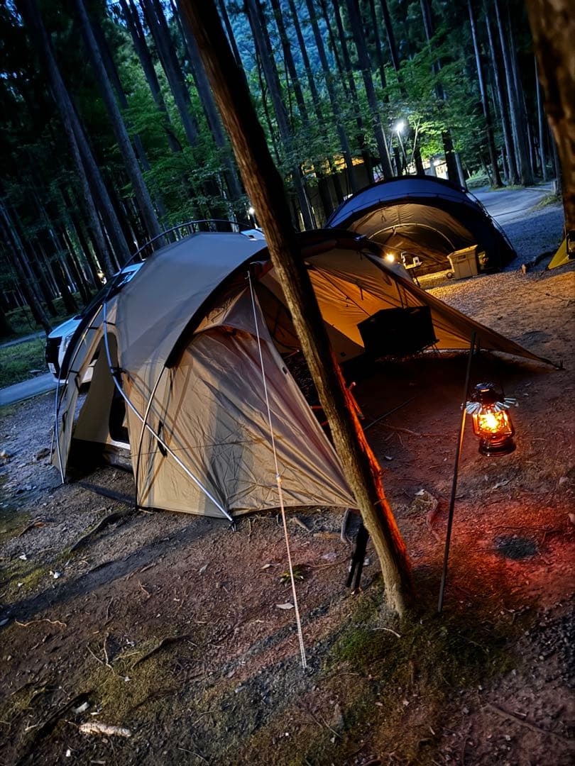 最終値下‼️ZANE ARTS KUKU-1 クク1