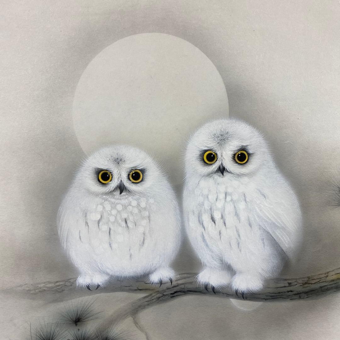 美品 掛け軸 山本和弥作 夫婦ふくろう図 共箱 太巻き 開運 二重箱