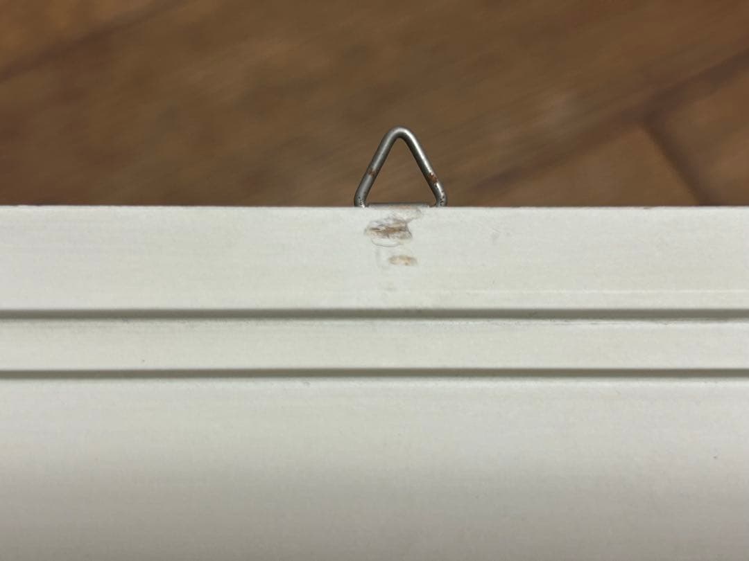 ドナルドダック　額入りアート