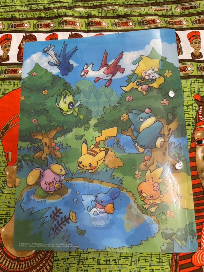 ポケパークフォレストシートファイル　ポケカ９枚セット