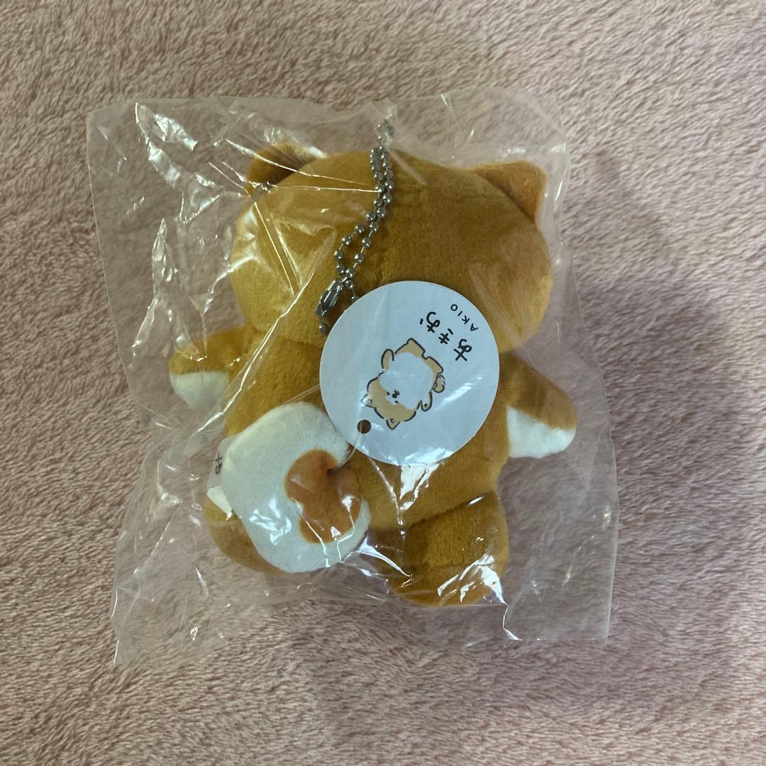 《未使用》JR 秋田支社　あきお・つがにゃん　グッズ13点セット