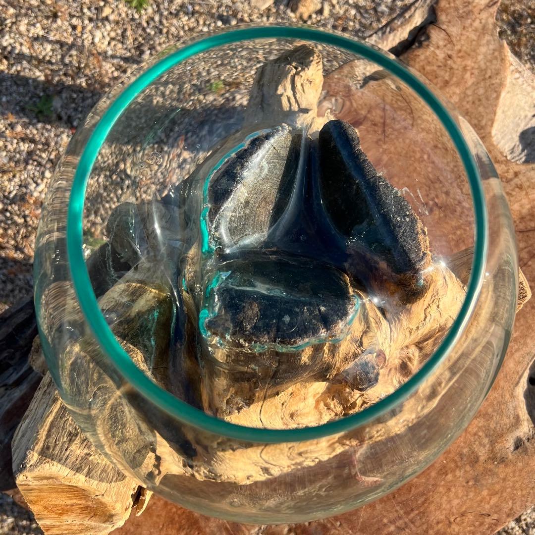 流木ガラス オブジェ超特大J 花瓶 金魚鉢 水槽 テラリウム 観賞魚 メダカ容器