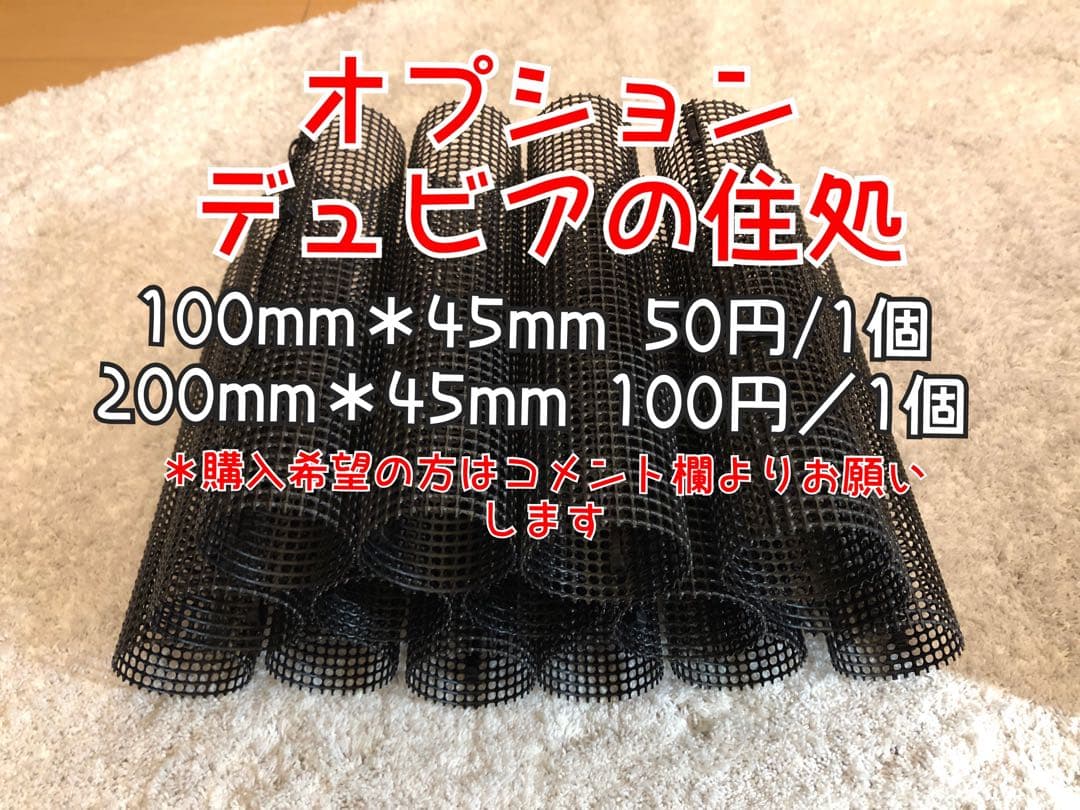 雫工房　フルセット！デュビア用飼育・繁殖ケージ　大型　二重底上段メッシュ底構造