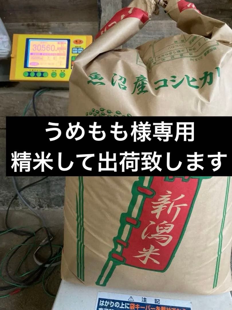 令和7年産魚沼コシヒカリ　玄米30kg
