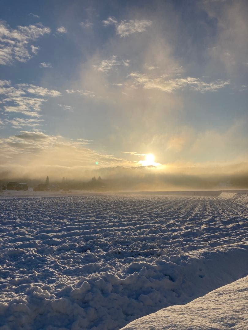 令和7年産魚沼コシヒカリ　玄米30kg