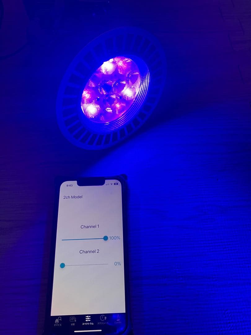 グラッシーレディオRX122s deep＋BT2＋クリップ　セット