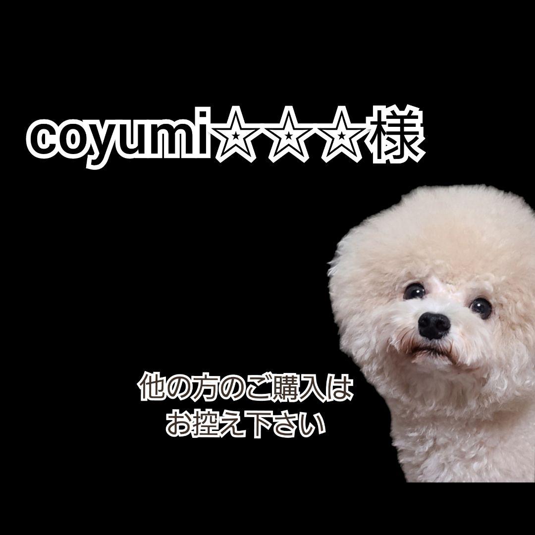 【coyumi☆☆☆】K９ナチュラル ４種類