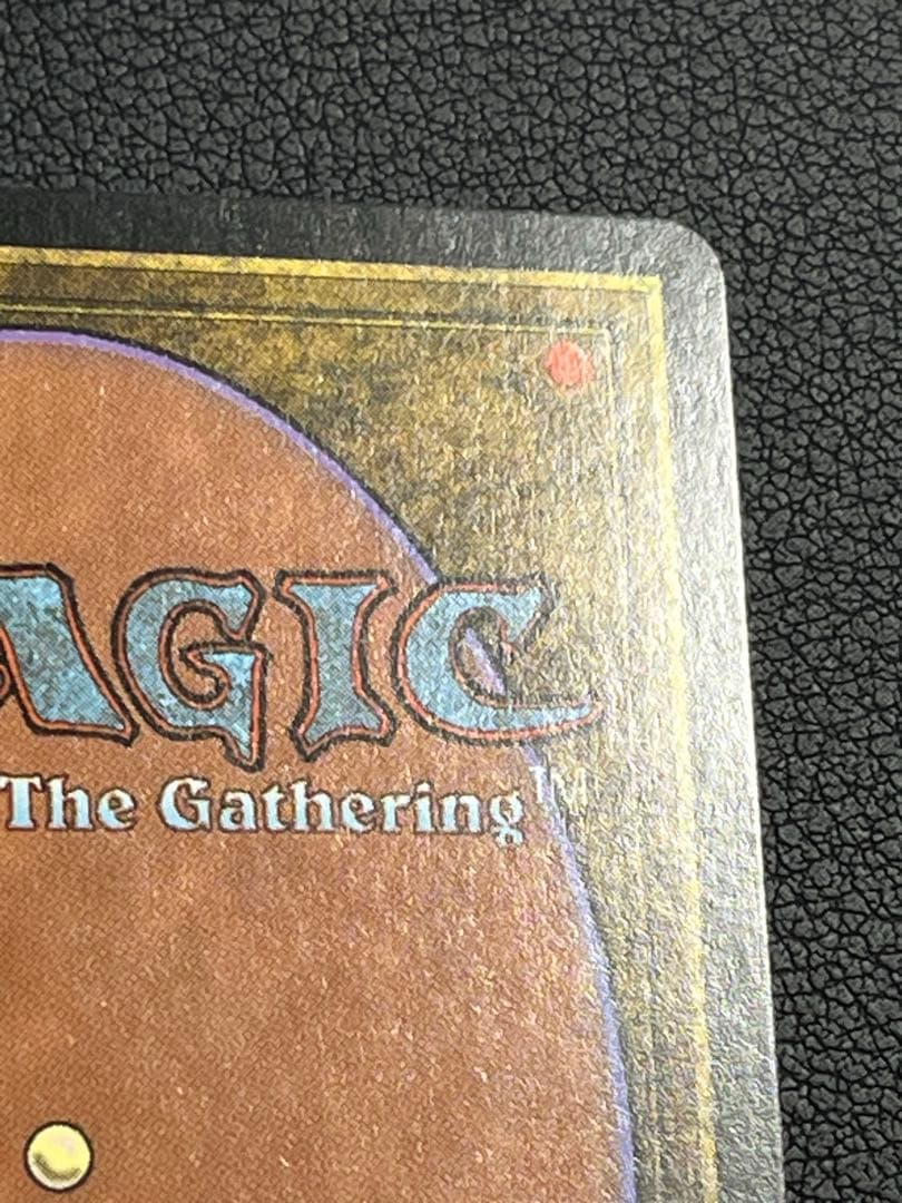 MTG 大地の知識　日本語　テンペスト