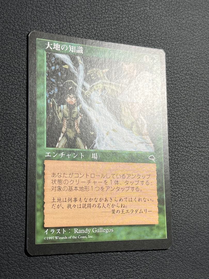 MTG 大地の知識　日本語　テンペスト