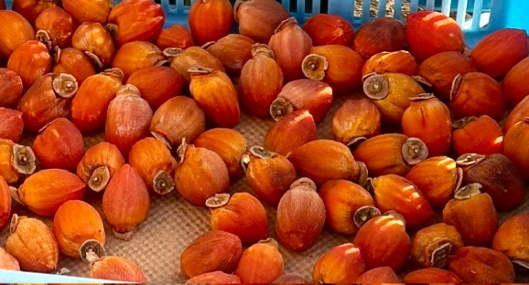 市田柿 干し柿 12袋セット 3kg