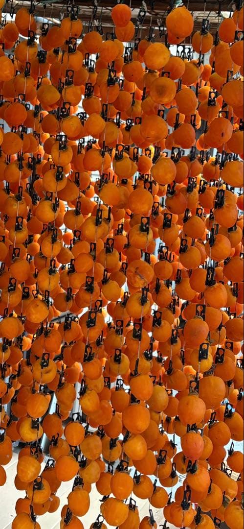 市田柿 干し柿 12袋セット 3kg