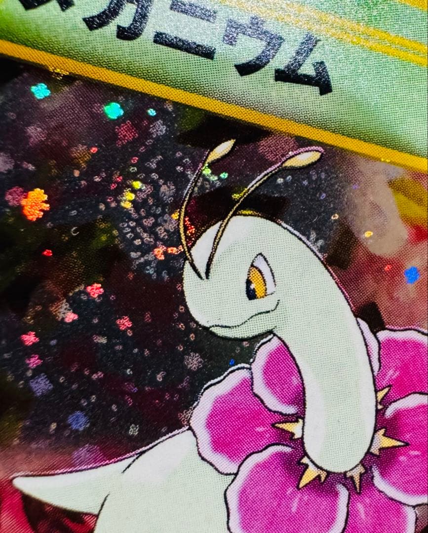 第二世代御三家セット　バクフーン　メガニウム　オーダイル　ポケモンカード　旧裏