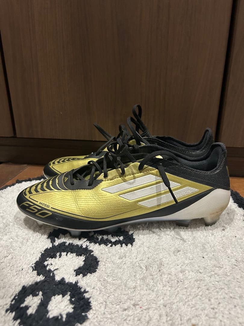 F50 メッシ