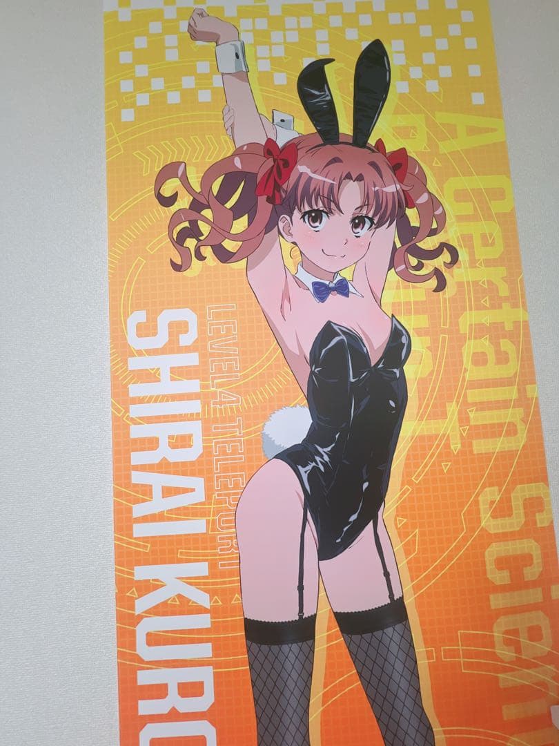 とある科学の超電磁砲　白井黒子　バニータペストリー