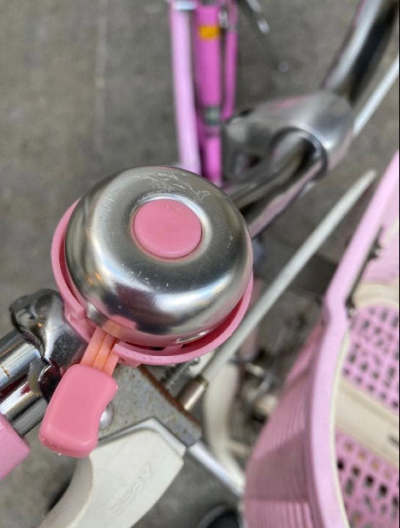 エコパル　ブリヂストン　22インチ　自転車