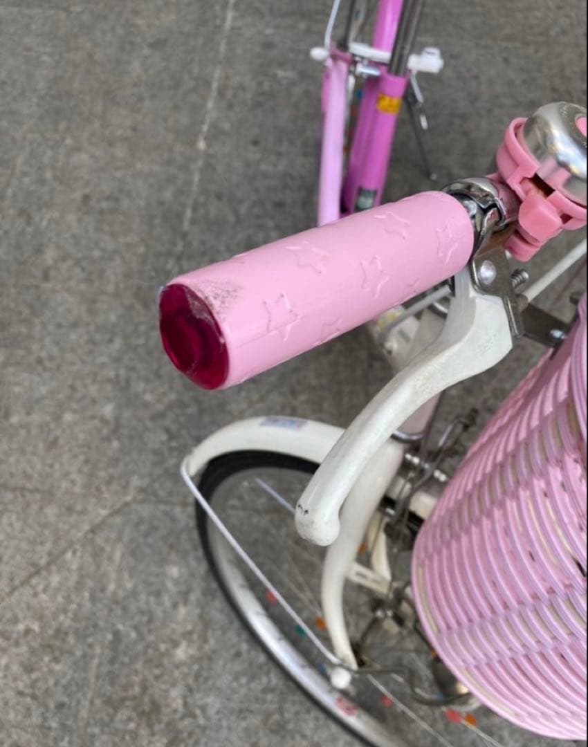 エコパル　ブリヂストン　22インチ　自転車