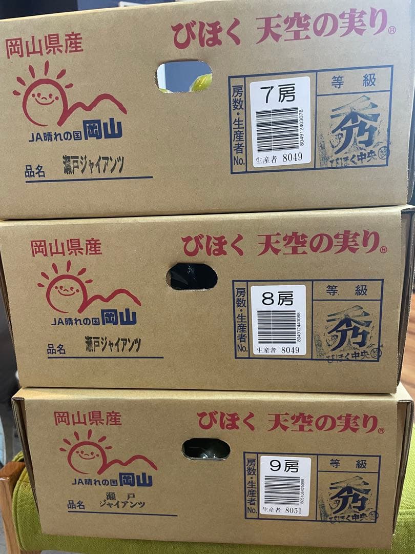 ⑨【岡山県産】瀬戸ジャイアンツ　7〜12房　約5キロ