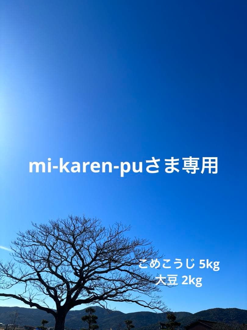 【 mi-karen-puさま専用 】 こめこうじ 5kg・大豆 2kg