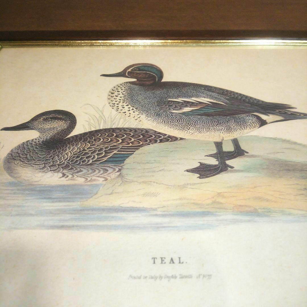 M*e様 Grafiche Tasgotti イタリアン プリント 水鳥 ４点セ