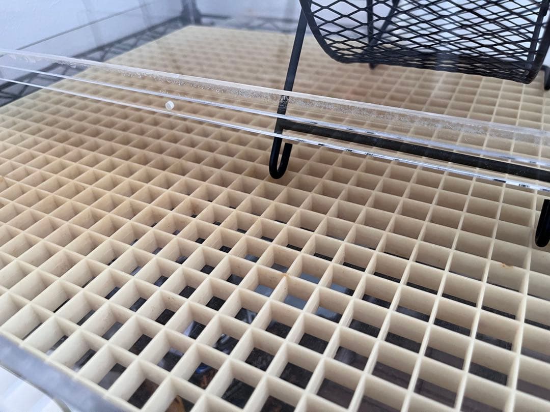 フクロモモンガ　アクリルケージ　ねくすと