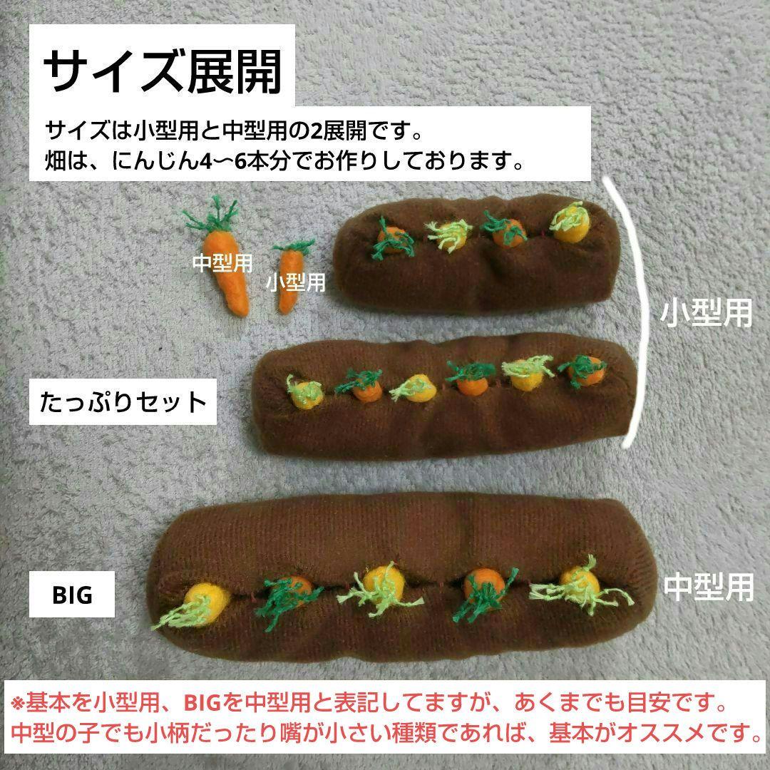 【オーダー用】にんじん畑　おもちゃ　ぬいぐるみ　バードトイ