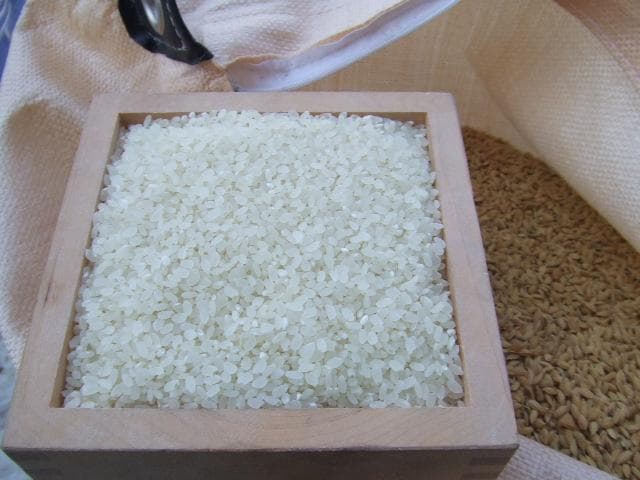 令和7年産 長野県産 コシヒカリ白米30キロ（10kg×３袋）精米したてをお届け