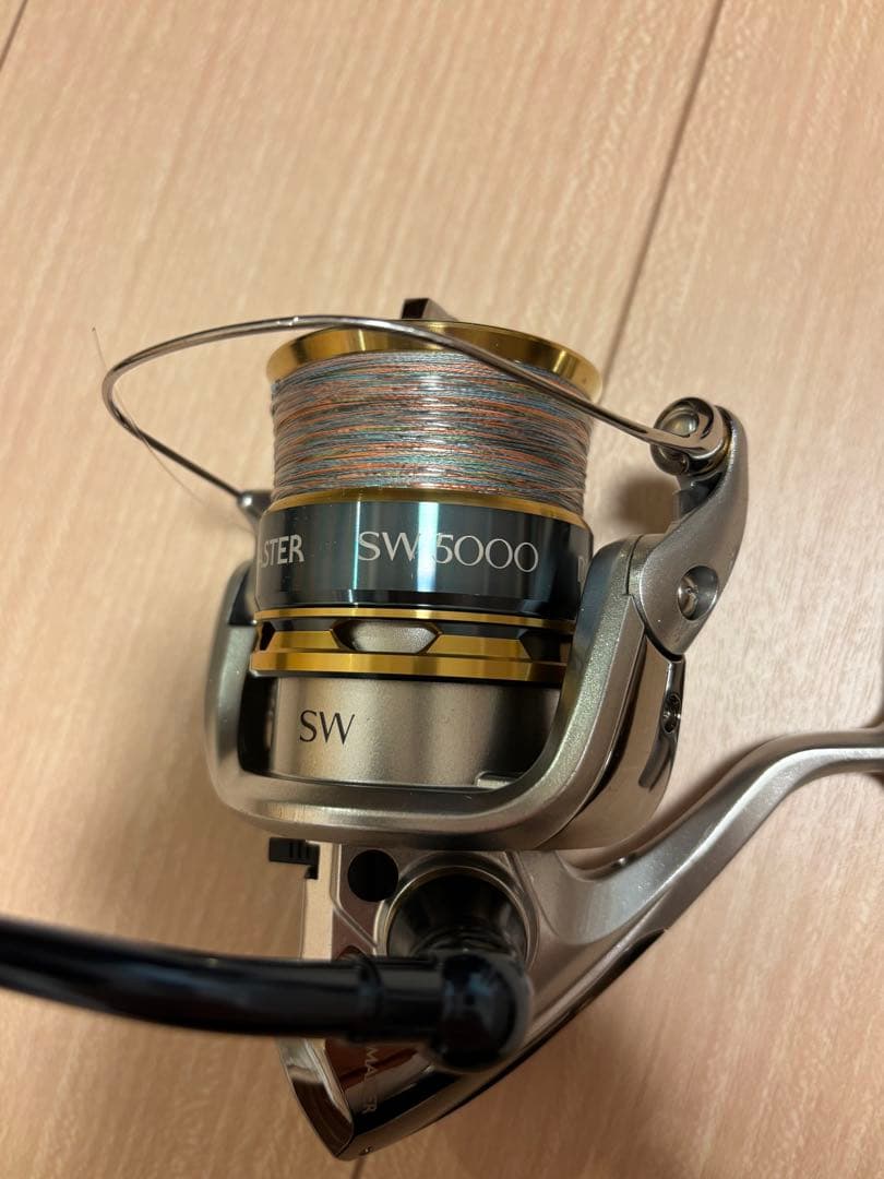 SHIMANO 13バイオマスターSW 5000PG