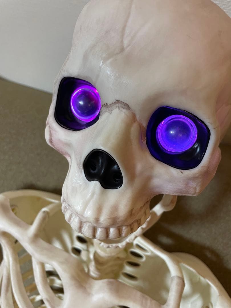 【デカすぎ！】ガイコツ　ハロウィン　人体模型　骨　ハロウィン　150cm