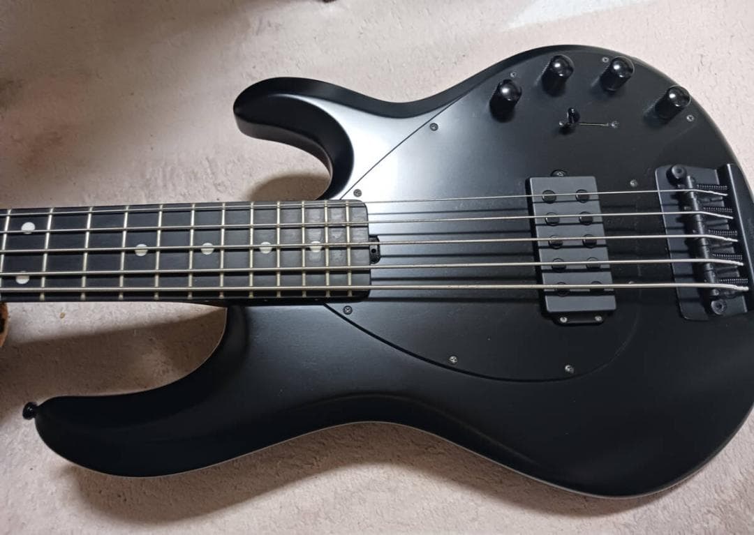 Ernieball MUSICMAN Stingray 5H ミュージックマン