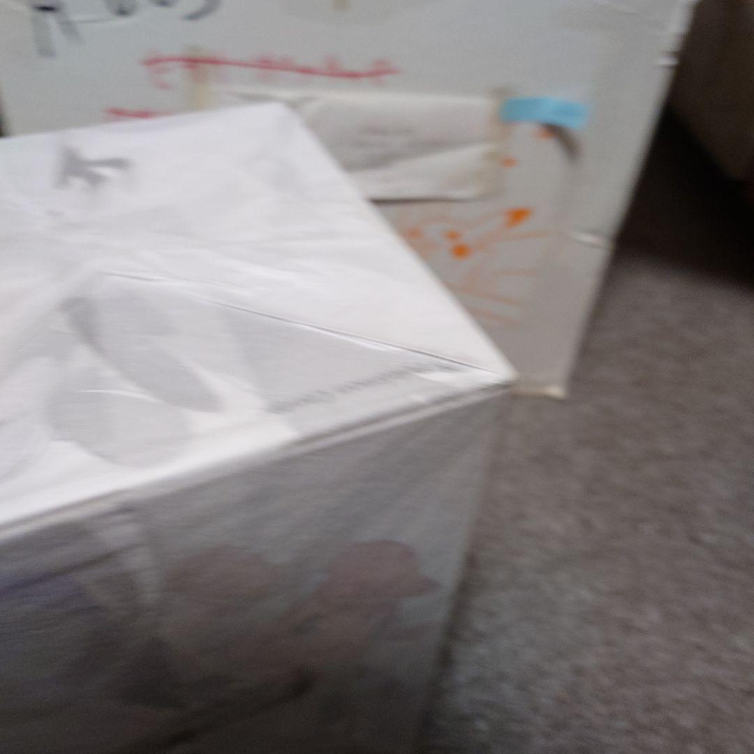 フウロ　&　スワンナ　フィギュア　未開封