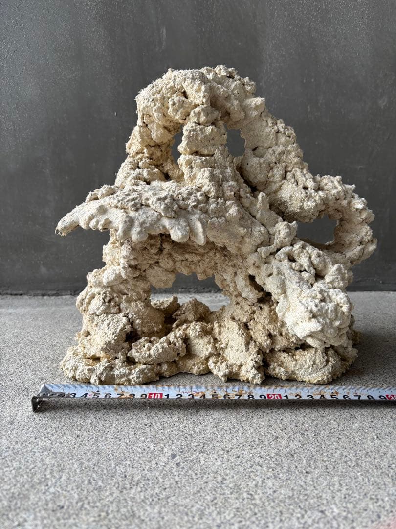 #2 人工ライブロック30cm【一点物】