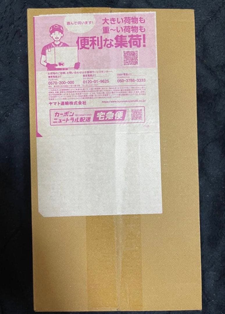 ポケモンセンター　ヒロシマスペシャルBOX