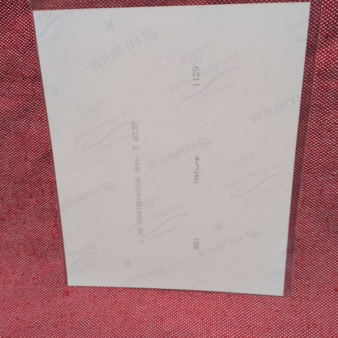 【相武紗季】直筆サイン入り生写真