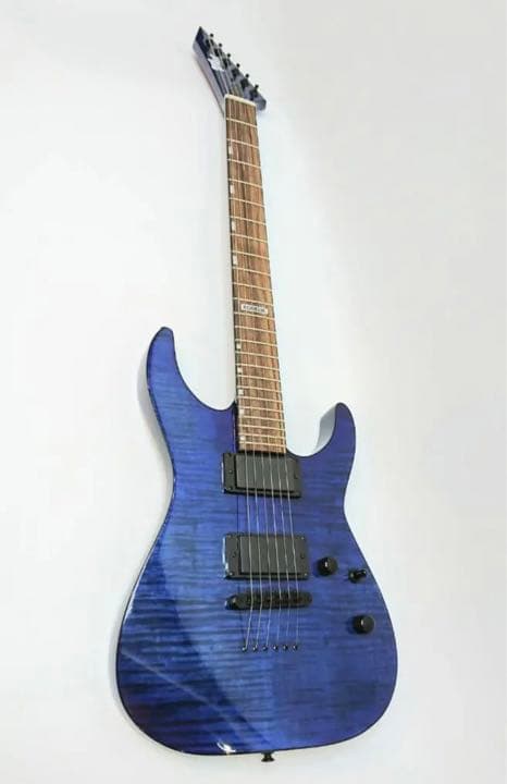 ESP 氷川紗夜モデル