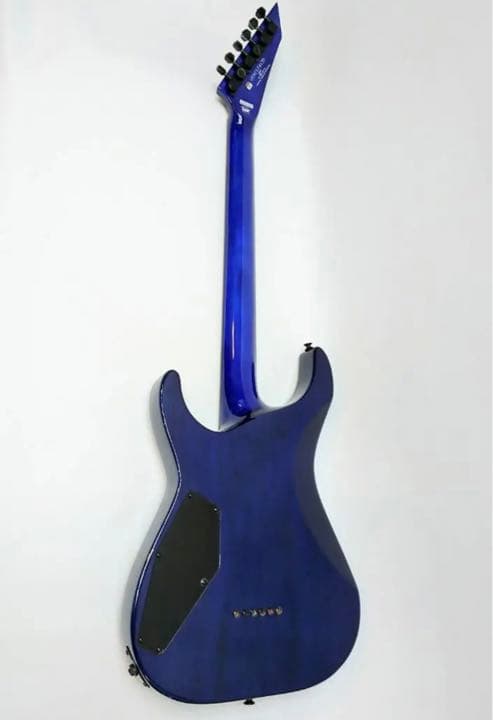 ESP 氷川紗夜モデル